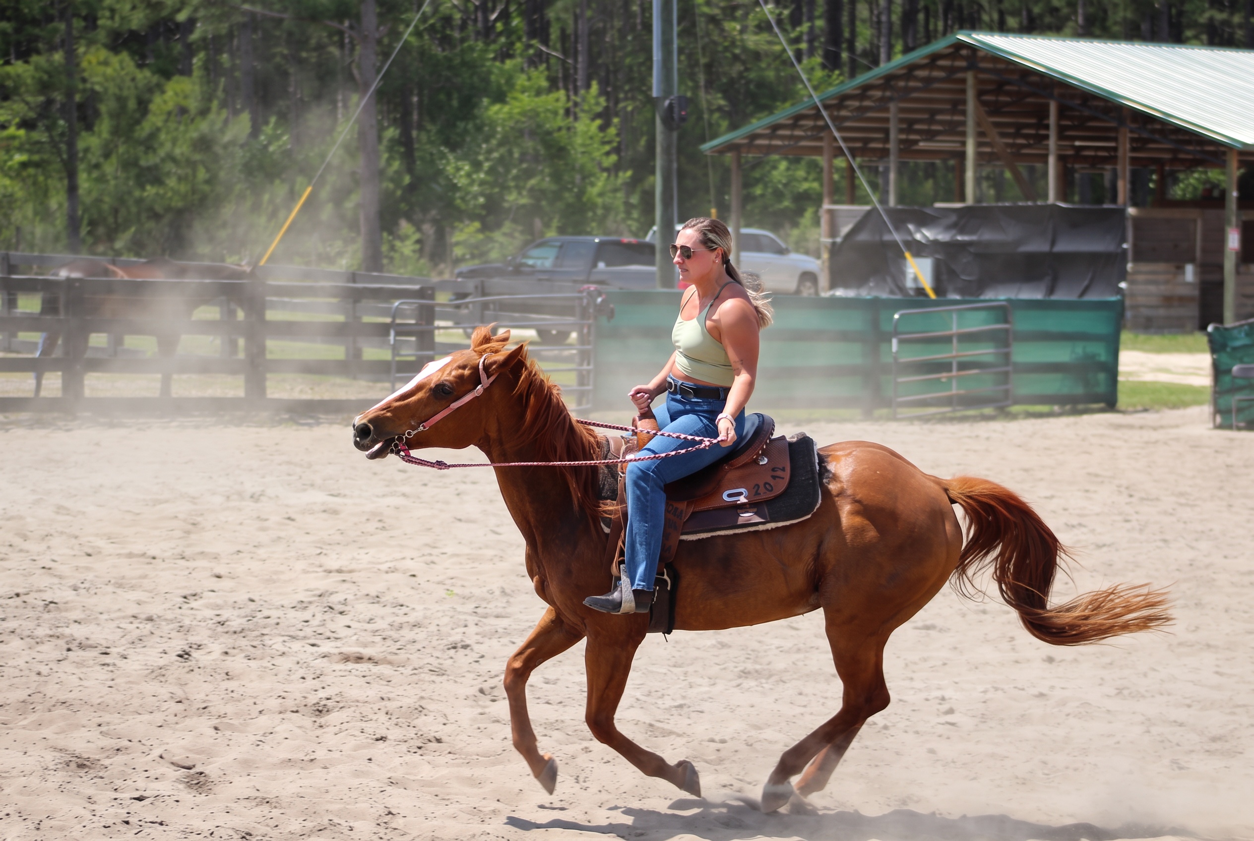 A rider galloping a chestnut horse through golden arena dust at Horse Ridge Farm