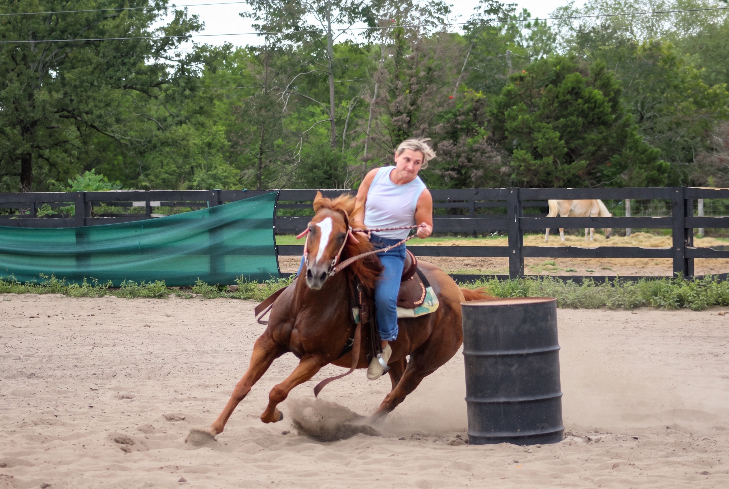 A horse and rider carving around a barrel in the Horse Ridge arena
