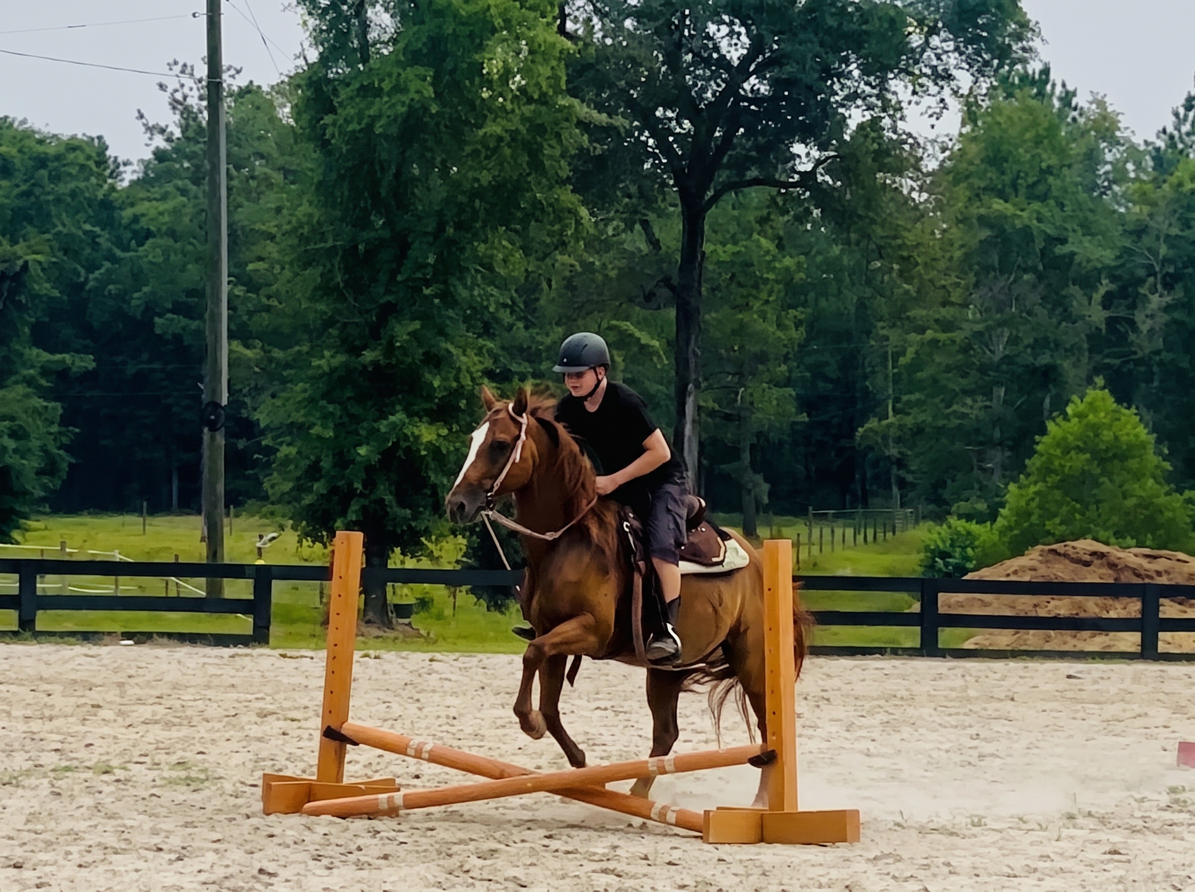 Student and horse hopping over cross-rails